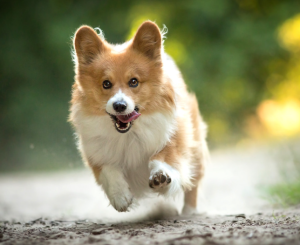 ScreenShot_2026-03-02_192748_940