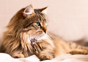 ScreenShot_2026-03-02_192820_460