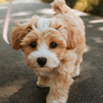 ScreenShot_2026-03-02_192840_980